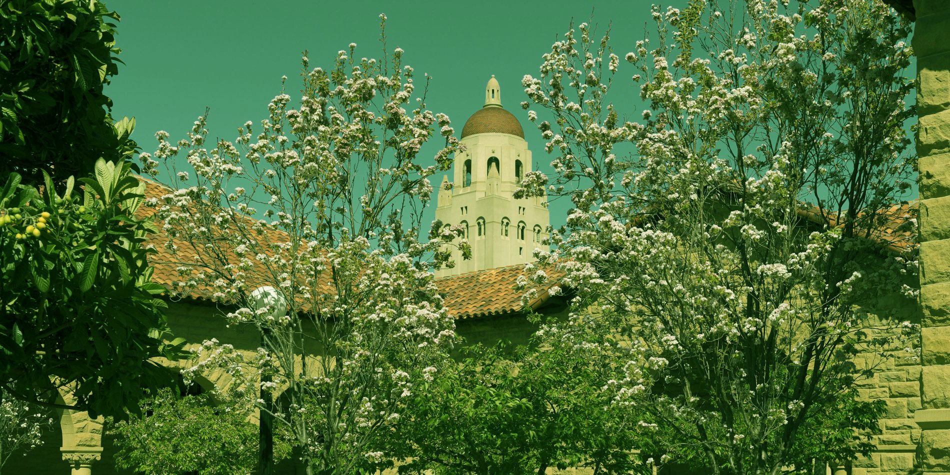 Exploring Stanford University: Admission, Hostel Fees, Course Fees, and Reviews Full Detail